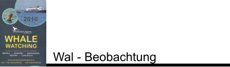 Wal - Beobachtung